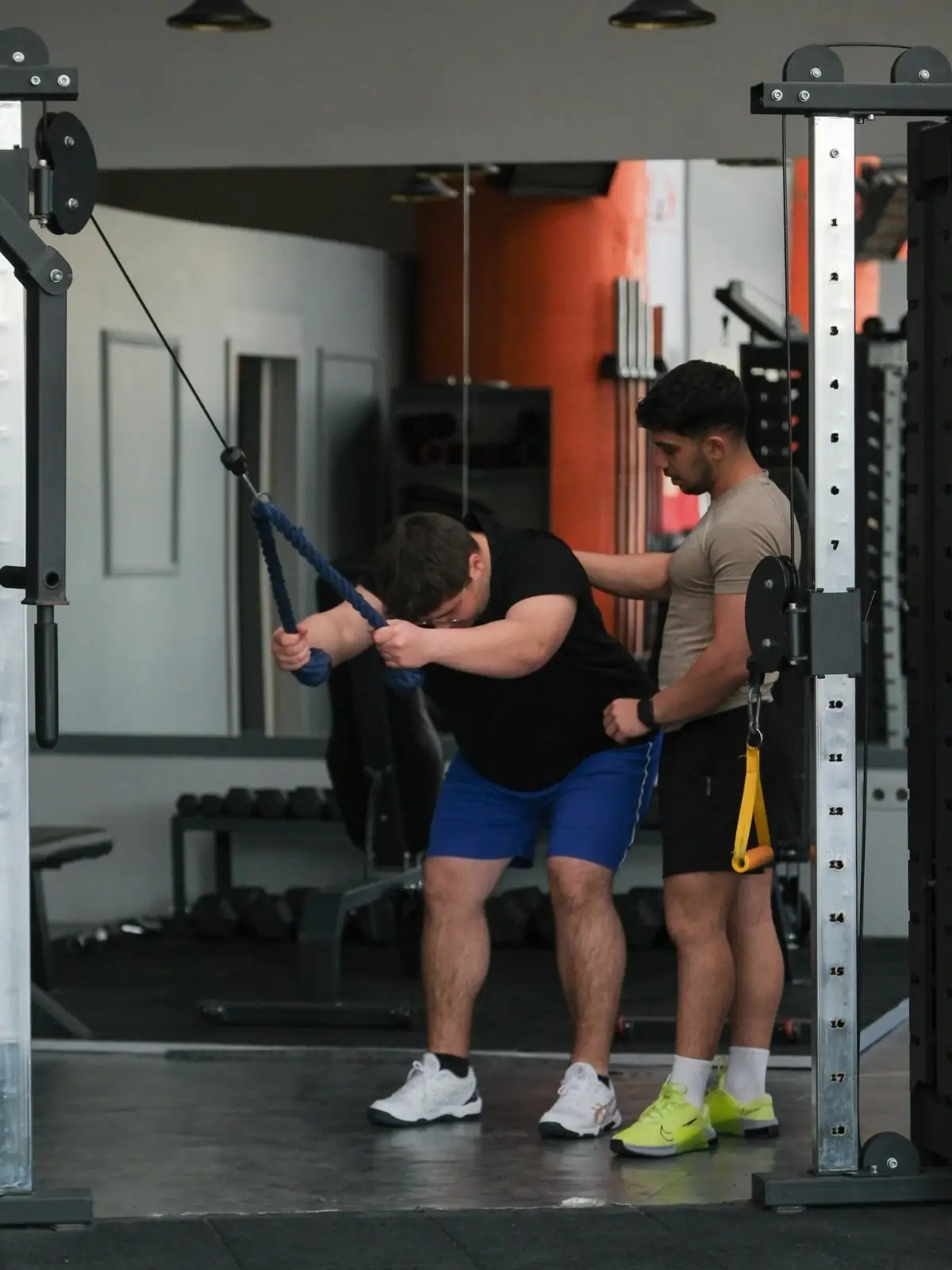 Antrenman – Phoenix Training Club